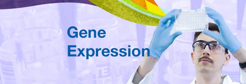 Gene Expression