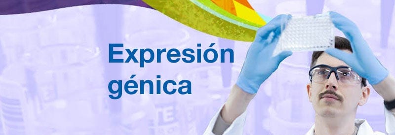 Expresión génica