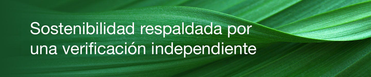 Greener Choice Banner