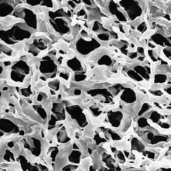 Merck Durapore Membrane Filters Merck Durapore Membrane Filters