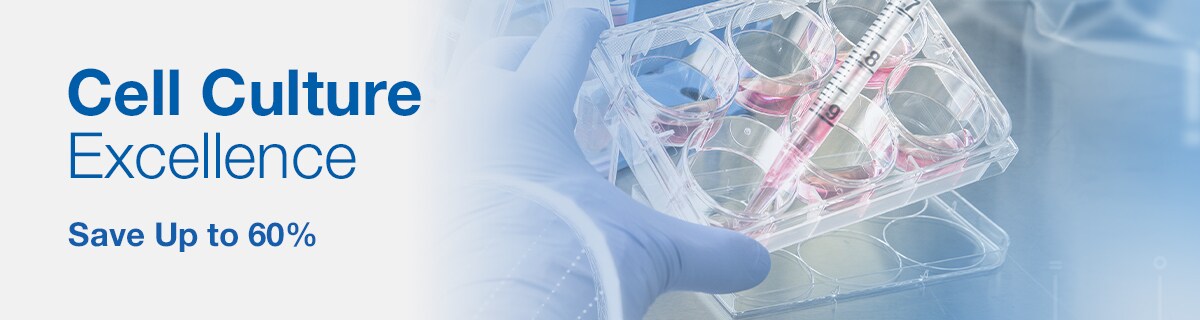 Cell Culture Cell Culture