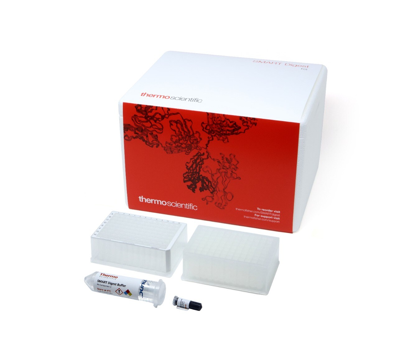 14109_Protein_Digestion 14109_Protein_Digestion