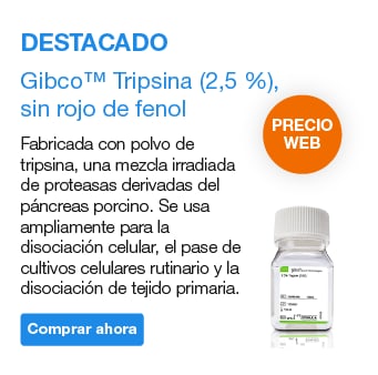 producto destacado