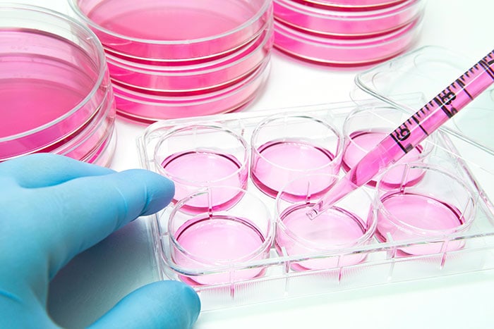Cell Culture Media