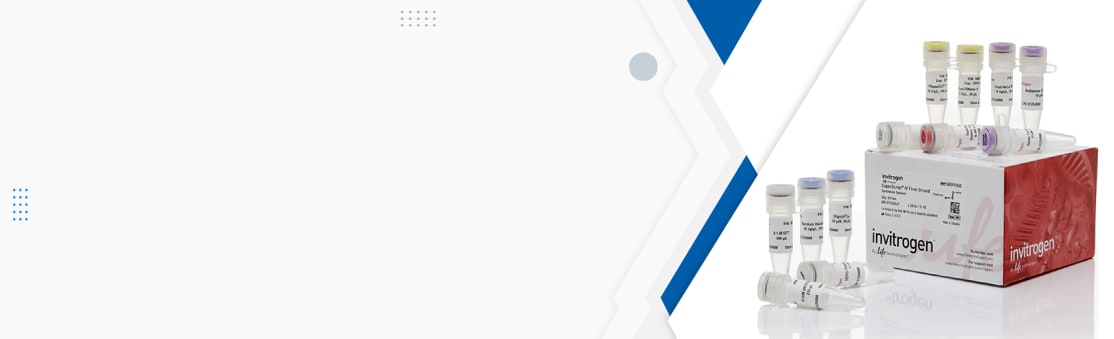 banner del producto