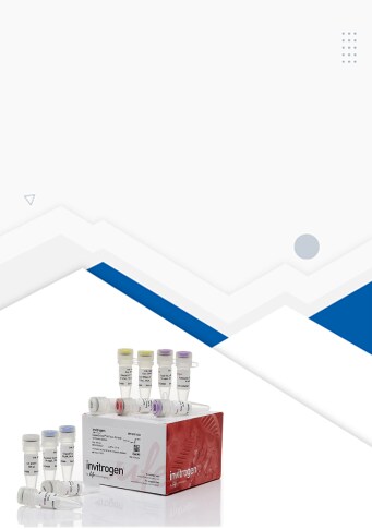 banner del producto