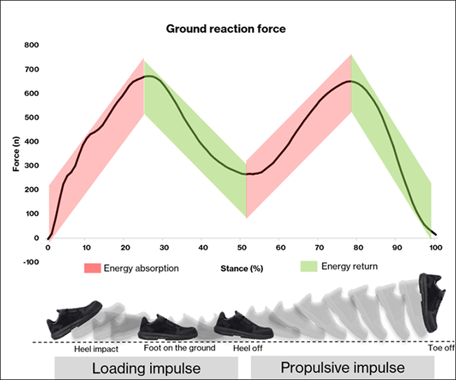 Figura 1. Curva típica de la fuerza de reacción vertical sobre el suelo al caminar, desde el impacto del talón hasta el despegue de la punta del pie