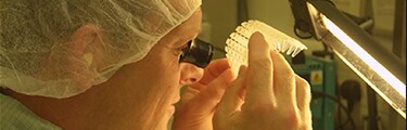 Vídeo: Cómo se fabrican los plásticos PCR