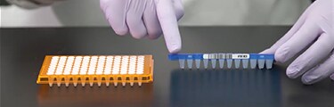 Vídeo: Cómo elegir una placa PCR