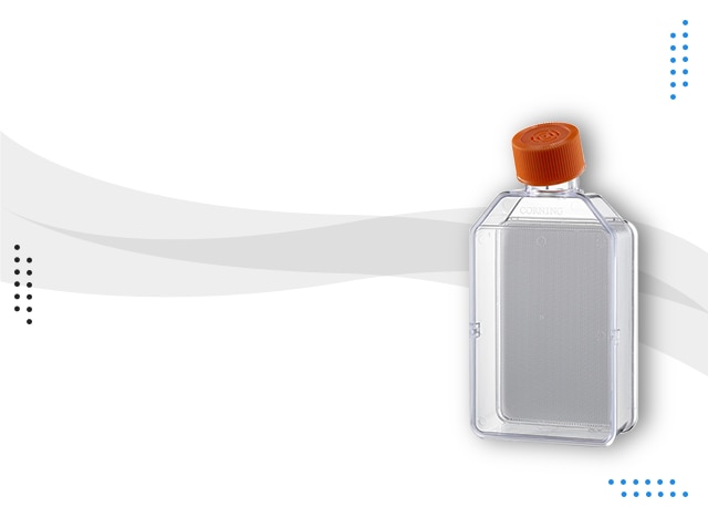 Corning™ Elplasia™ Matraz 12K