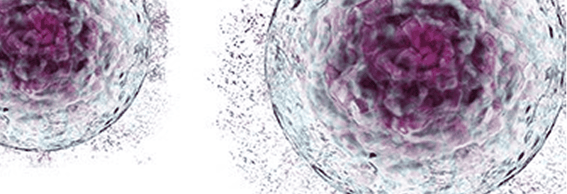 Desafíos que se presentan en el escalado en terapias celulares con el equipamiento de laboratorio