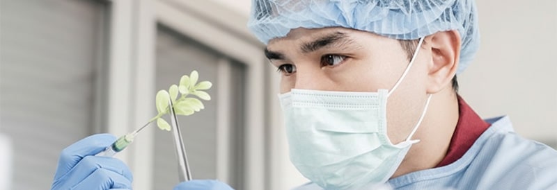 Abordar las preocupaciones de seguridad en el aula durante la pandemia