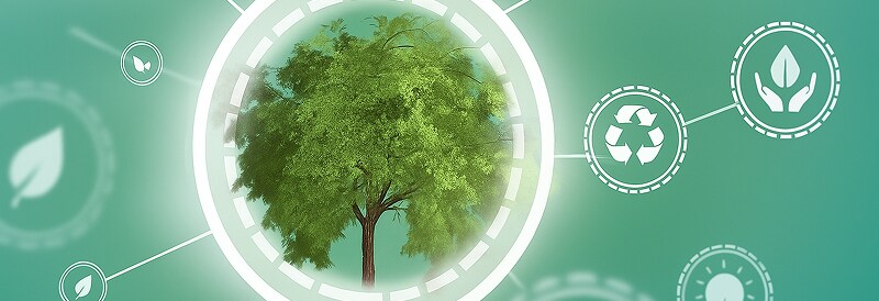 Lo que necesita saber sobre la capacidad de reciclaje