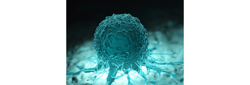 «Avatares de tumores» podrían ayudar a identificar tratamientos efectivos para el cáncer