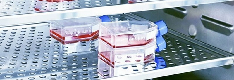 Los múltiples ámbitos en los que los incubadores de CO2 muestran sus ventajas