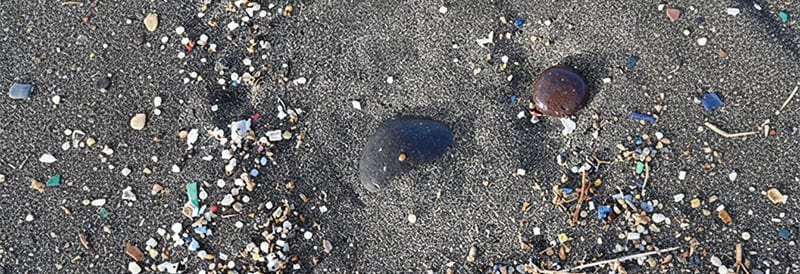 Microplastics: Investigating Risk and Understanding Evidence