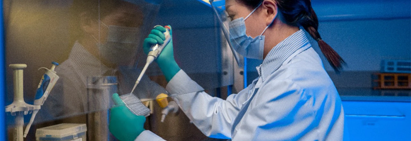 ¿Cuál es el efecto en los guantes cuando se desinfectan con alcoholes? 