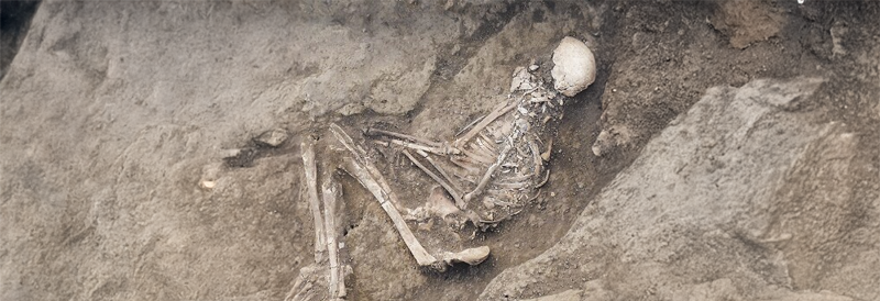 Las proteínas antivíricas ancestrales pueden protegernos contra las infecciones