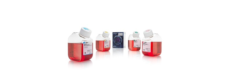 Medios de cultivo celular Gibco™ BenchStable™: sea más sostenible reduciendo las necesidades de almacenamiento en frío del laboratorio