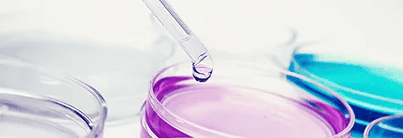 Buscamos nuevas vías para controlar la contaminación de cultivos celulares