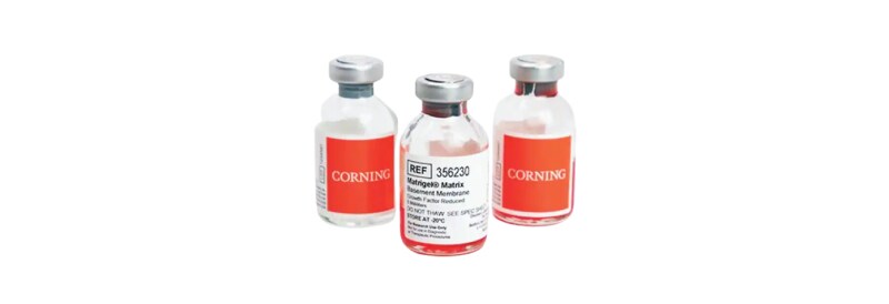 Corning Matribot Bioimpresora: Una herramienta fácil de usar para cultivo celular en 3D