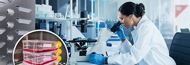 Cultivo celular sin contaminación: ¿cómo ayuda el incubador de CO₂?