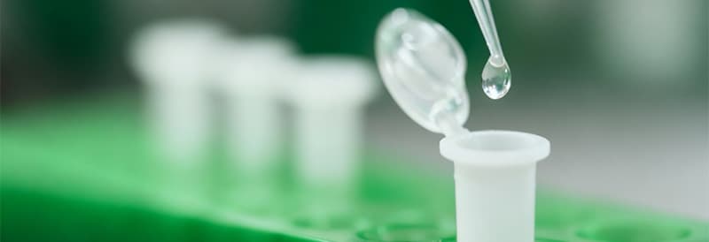 Optimice su inmunoprecipitación (IP) con ChromoTek Nano-Traps