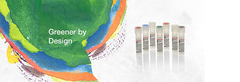 Envío más ecológico: ventaja a temperatura ambiente para los anticuerpos Invitrogen