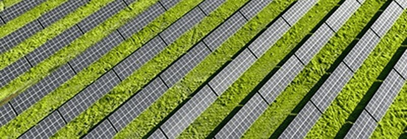 Doble uso de la tierra: paneles solares y agricultura