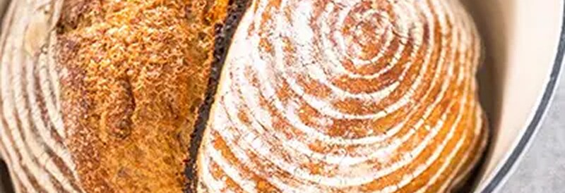 Fundamentos de la fermentación: La ciencia del pan de masa madre