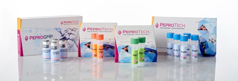 Selección de citocinas para garantizar la consistencia: estudio de caso del FGF básico para su uso con células madre pluripotentes, desde la investigación hasta la fabricación.