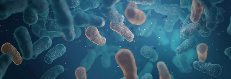 Fundamentos de seguridad en bioprocesamiento: pruebas de endotoxinas, micoplasmas y esterilidad 