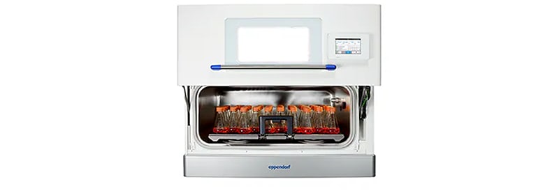 Acelere su crecimiento