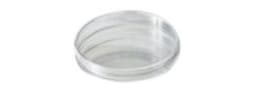 Petri Dishes