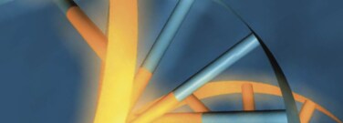 Productos químicos para la síntesis de ácidos nucleicos Productos químicos para la síntesis de ácidos nucleicos