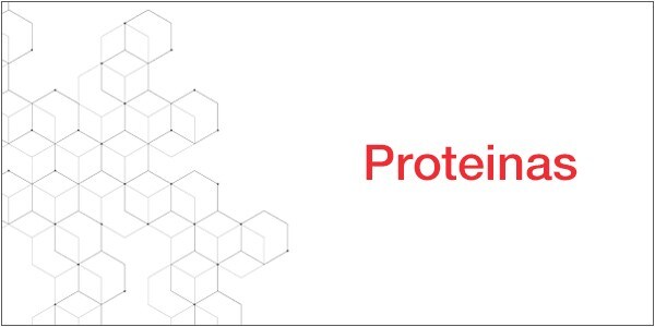 13834_Protein_ES