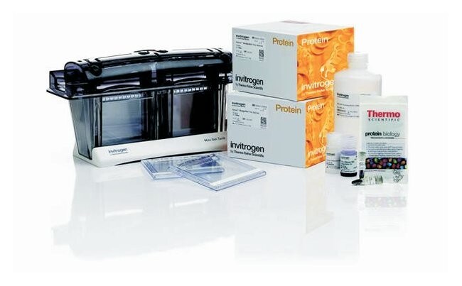 13132_NuPAGE_Bis_Tris_Welcome_Pack NuPAGE™ Bis-Tris Welcome Pack, 10%, 10-well