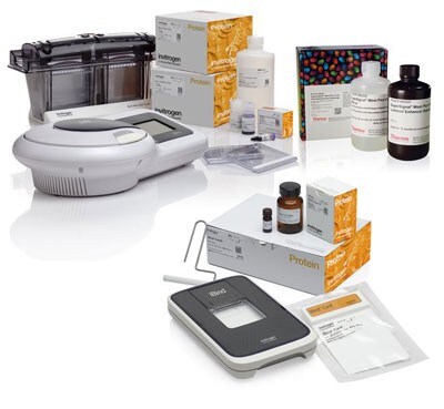13132_iWestern_Benchtop_Bundle iBlot™ 2 and iBind™ Western Starter Kit