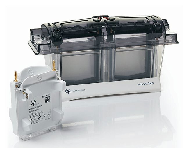 13132_Invitrogen_Mini_Gel_Tank_and_Blot_Module_Set 13132_Invitrogen_Mini_Gel_Tank_and_Blot_Module_Set