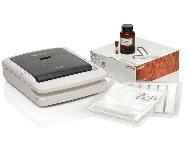 iBind_Flex_Western iBind_Flex_Western