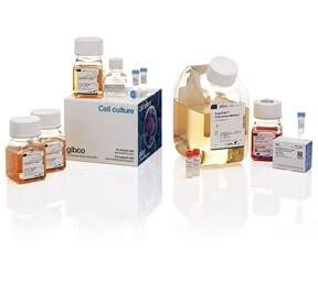 Gibco_ExpiCHO_Expression_System Gibco_ExpiCHO_Expression_System