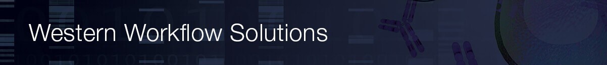 q2-results-cell-culture-workflow-solutions-western-95872 q2-results-cell-culture-workflow-solutions-western-95872
