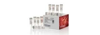 PCR Reagents and Kits