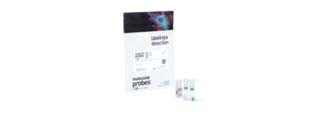Antibody Purification Kits
