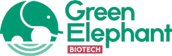 Green Elephant logotipo
