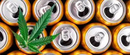 Química del cánnabis: mezcla de cogollos y bebidas