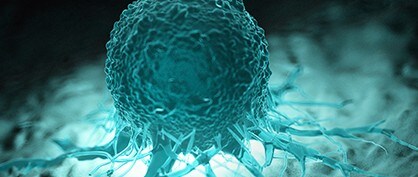 «Avatares de tumores» podrían ayudar a identificar tratamientos efectivos para el cáncer