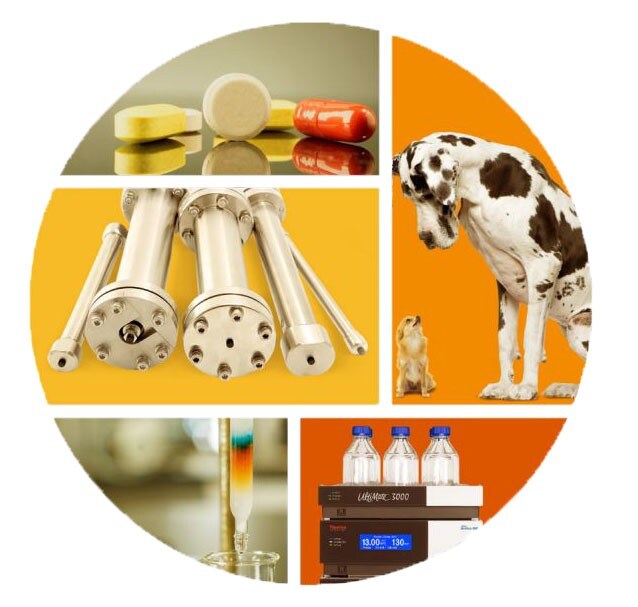 13793_BigDog 13793_BigDog